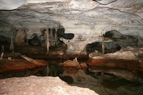 Attraits touristiques aux Îles Turquoises : Le parc national de Conch Bar Caves