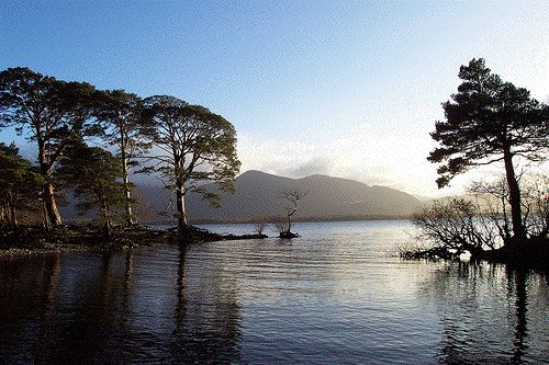 Attraits touristiques en Irlande : Lacs de Killarney