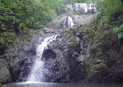 Attraits touristiques au Les Caraîbes : Argyle Falls, Trinidad & Tobago