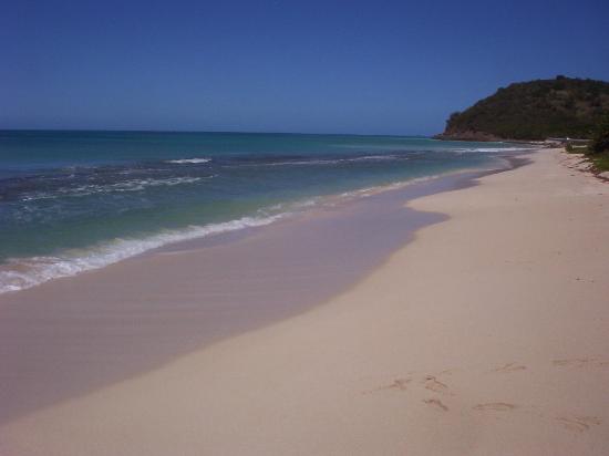 Attraits touristiques à Antigua et Barbuda : Darkwood Beach